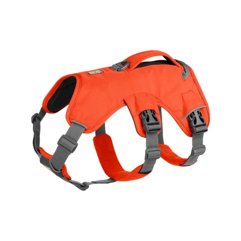 Web Master Harness - Harnais pour chien