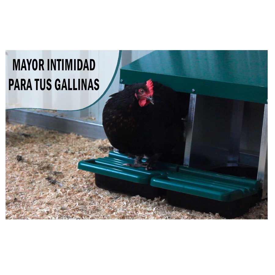 Fazenda Casarejo, galinheiro com gaveta retrátil para galinhas poedeiras.