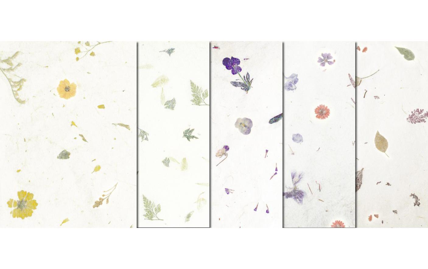 Bastelpapier Botanica 23 x 33 cm, 35 g/m², 5 BlattNaturpapier mit Blätter und Blüteneinschlüssen