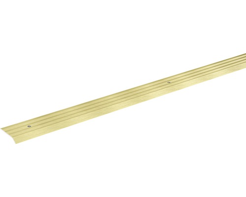 SKANDOR aanpassingsprofiel champagne geanodiseerd geperforeerd 5x29x2700 mm