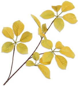 Silk-Ka kunsttak Wilde Wingerd geel 74 cm
