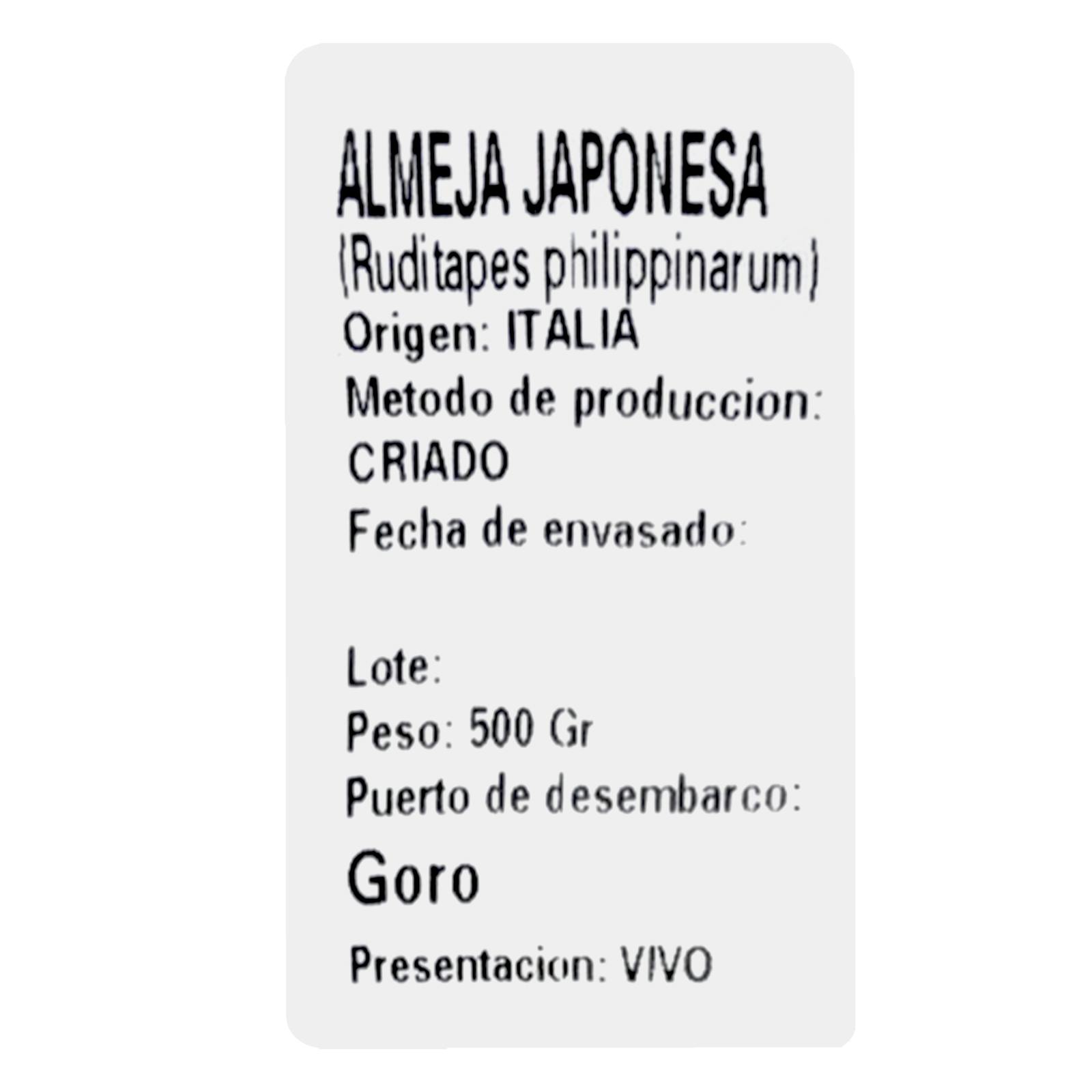 Palourde japonaise