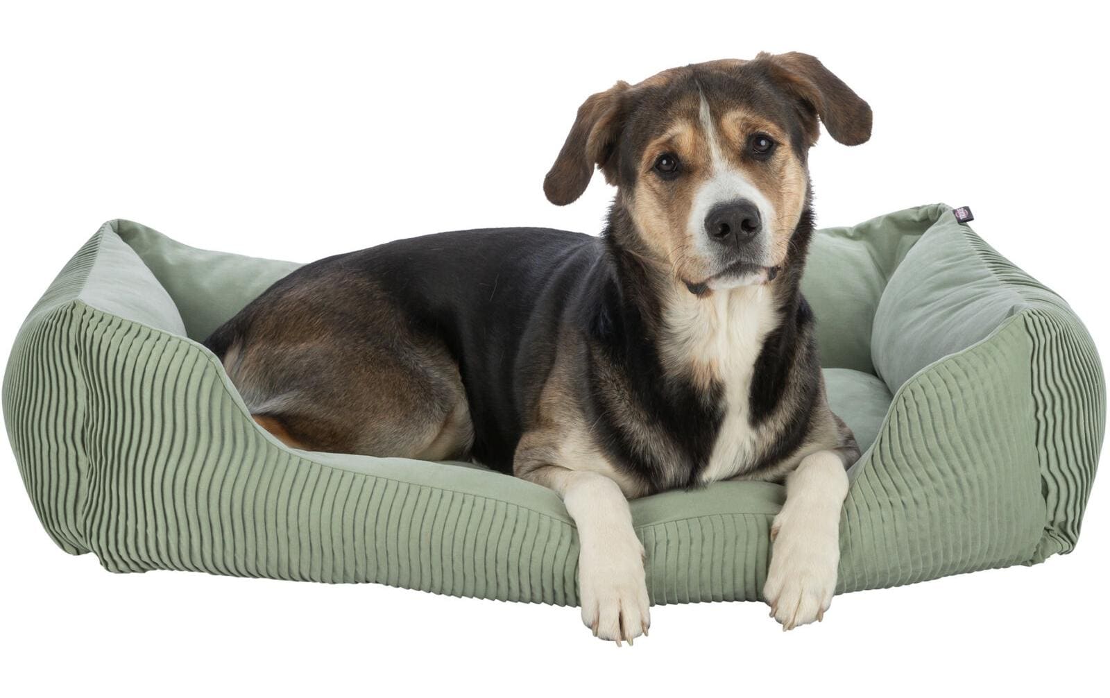 Hunde-Bett Marley, 100 × 70 cm, SalbeiHundebett