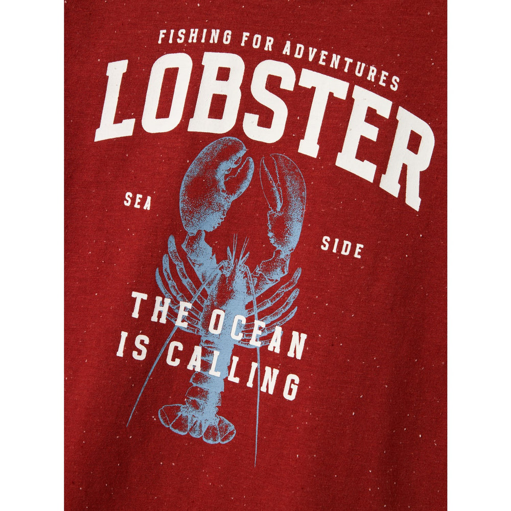 Køb Name It Red Ochre Fabi Regular T-Shirt
