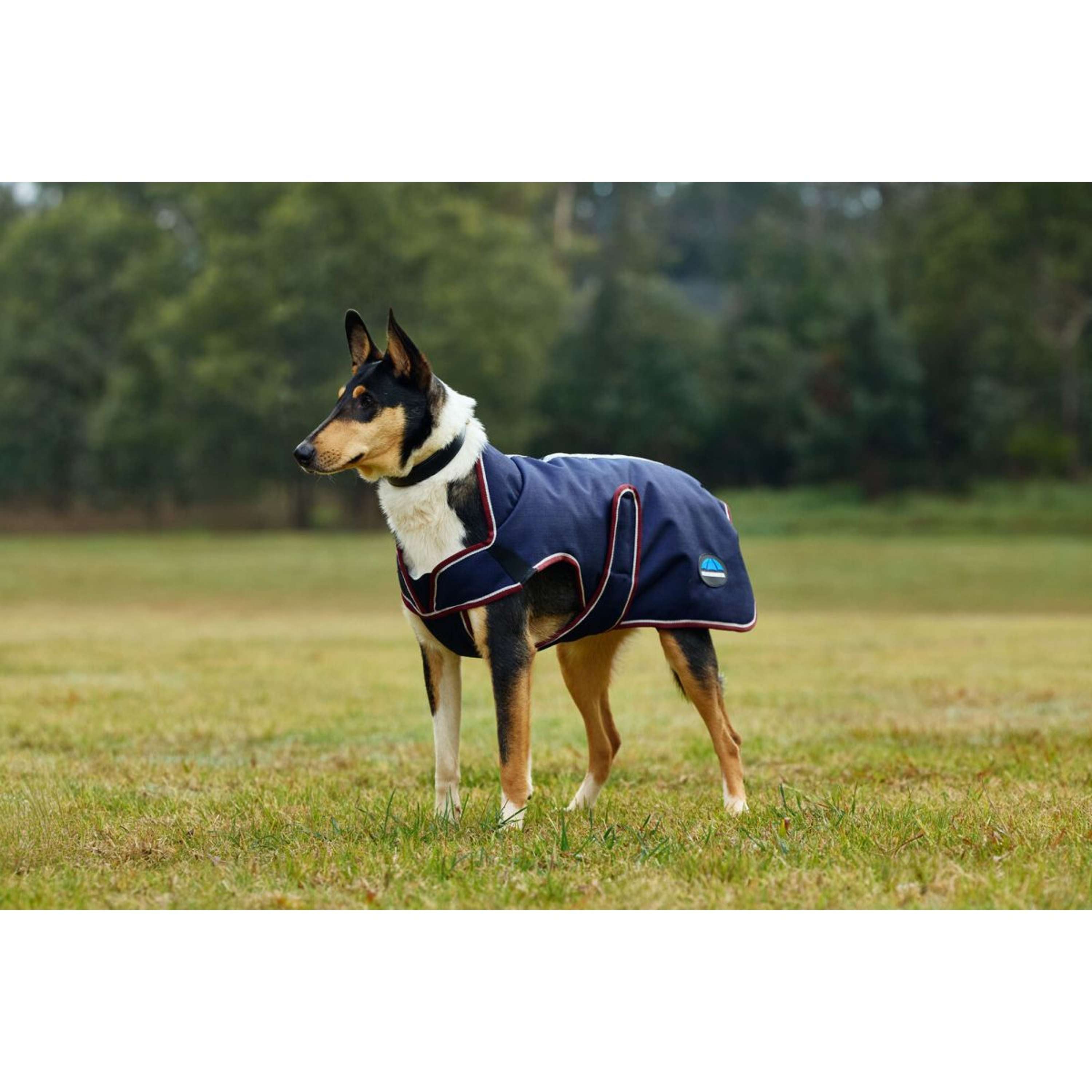 WeatherBeeta Hondendeken ComFiTec Premier Deluxe Waterproof Navy/Burgu