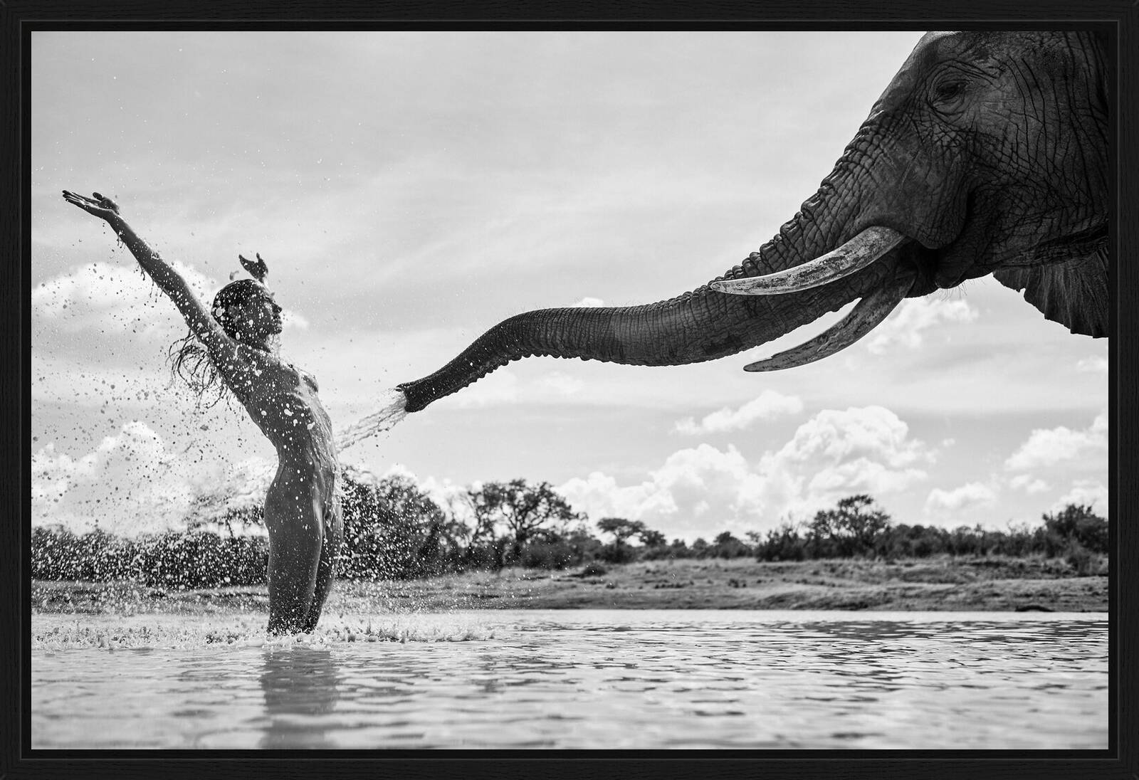 Elephant Shower by Paul Giggle - Limited Edition. Edition of: 150. Signed.
