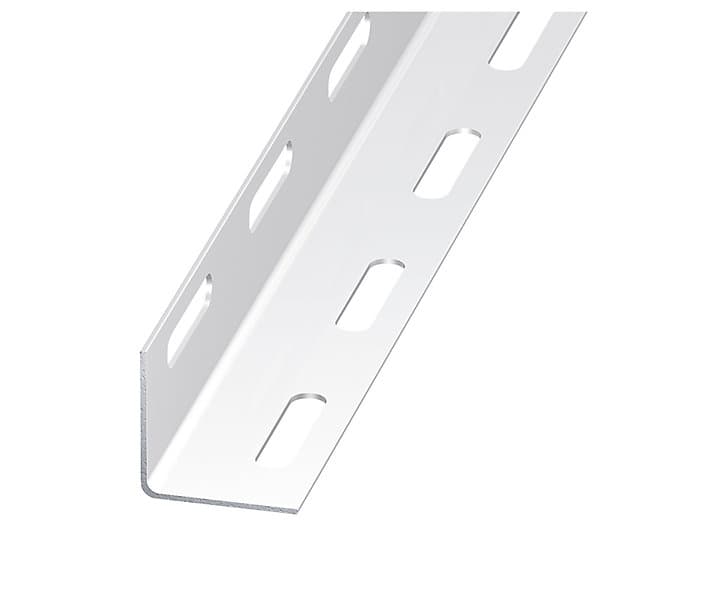 Cornière perforée acier époxy blanc 38 x 38 mm, 1 m