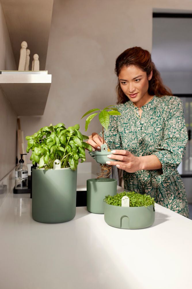 Elho kweekpot Amazing Avocado groen D 12 H 12,1 cm