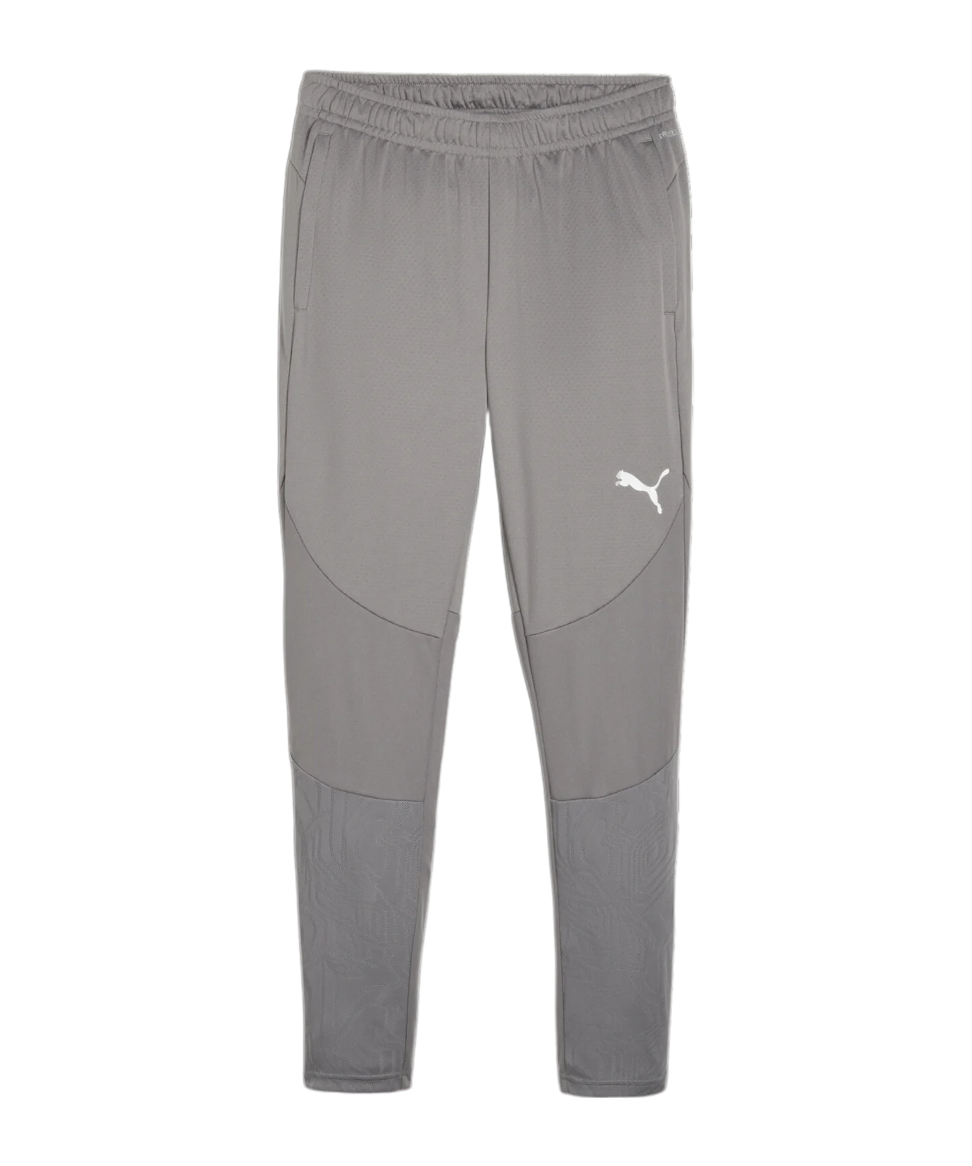 PUMA teamFINAL Trainingshose Grau F13