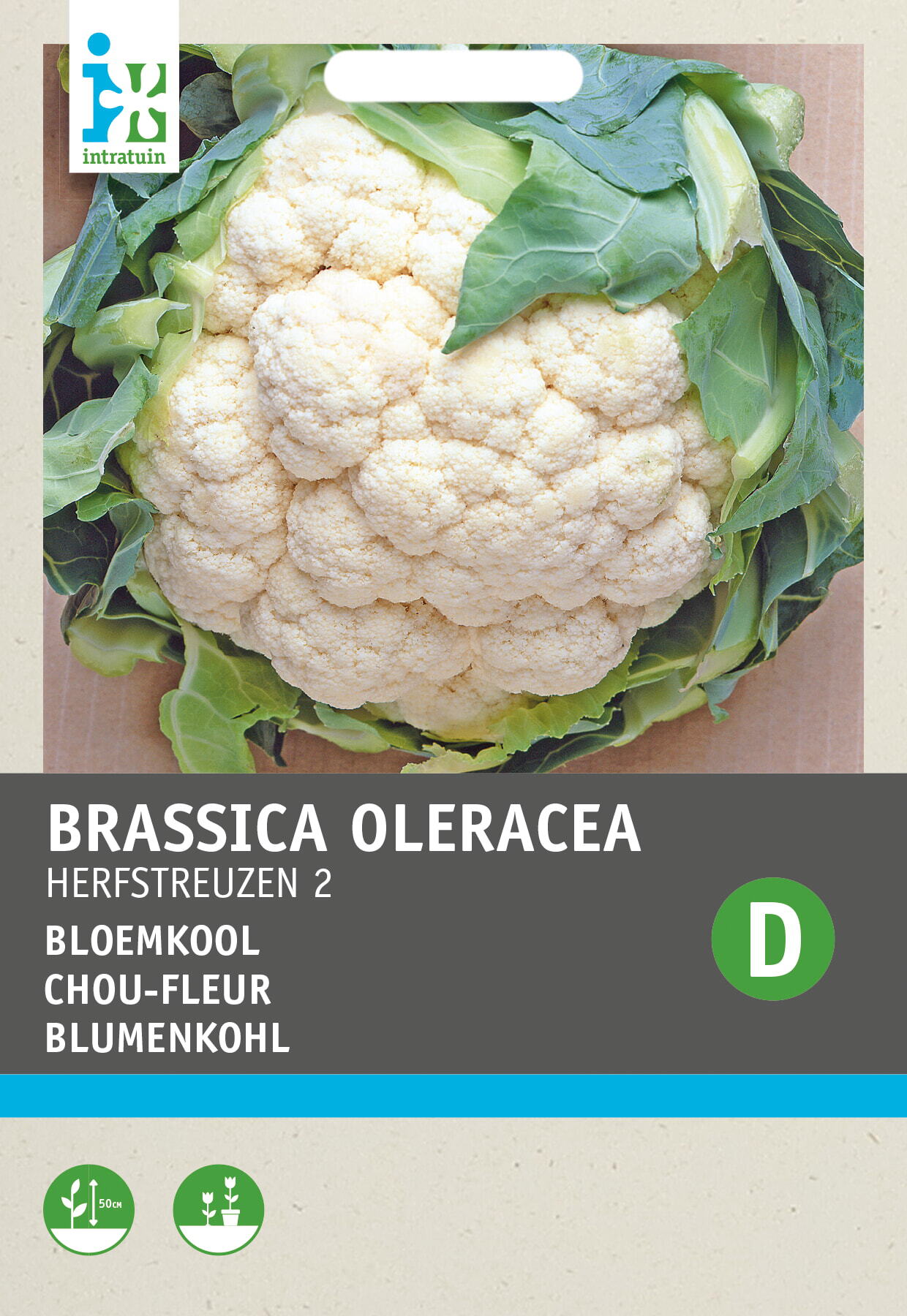 Intratuin groentezaad Bloemkool (Brassica oleracea 'Herfstreuzen')