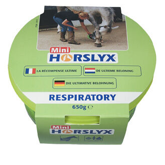 Horslyx Respiratory - Liksteen - 650 Gram