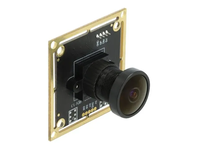 Delock USB 2.0 Camera Module with Wide Dynamic Range - Overvågningskamera - kort - farve - 1920 x 1080 - 1080p - fast brændvidde - USB 2.0 - DC 5 V