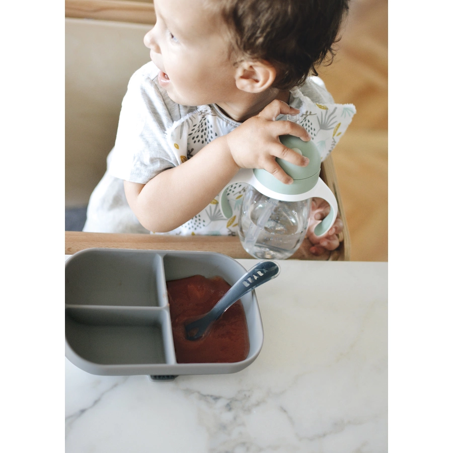 BEABA® Silikonteller mit Saugnapf Unterteilt mineral