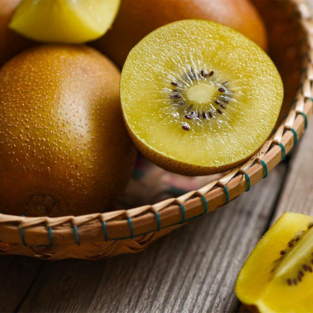 Kiwi golden (femelle) - conteneur 3l