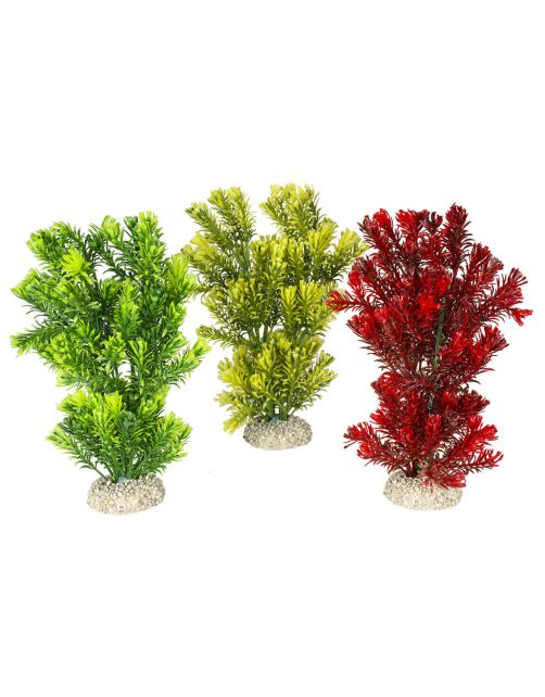 Aqua Della Decor Plant Canadensis - Aquarium - Kunstplant - 23 cm Assorti
