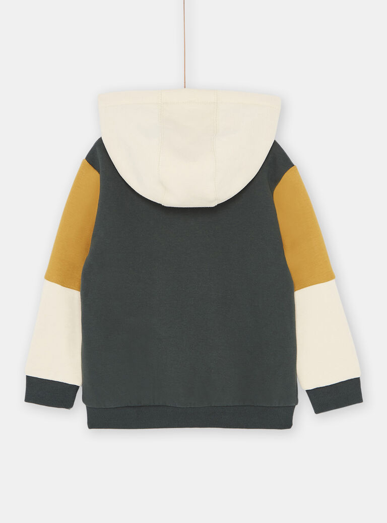 Sweat à capuche garçon
