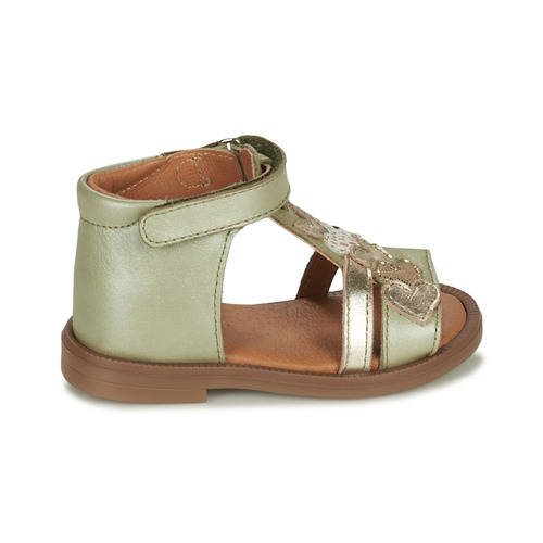 GBB - IGALE - Vert