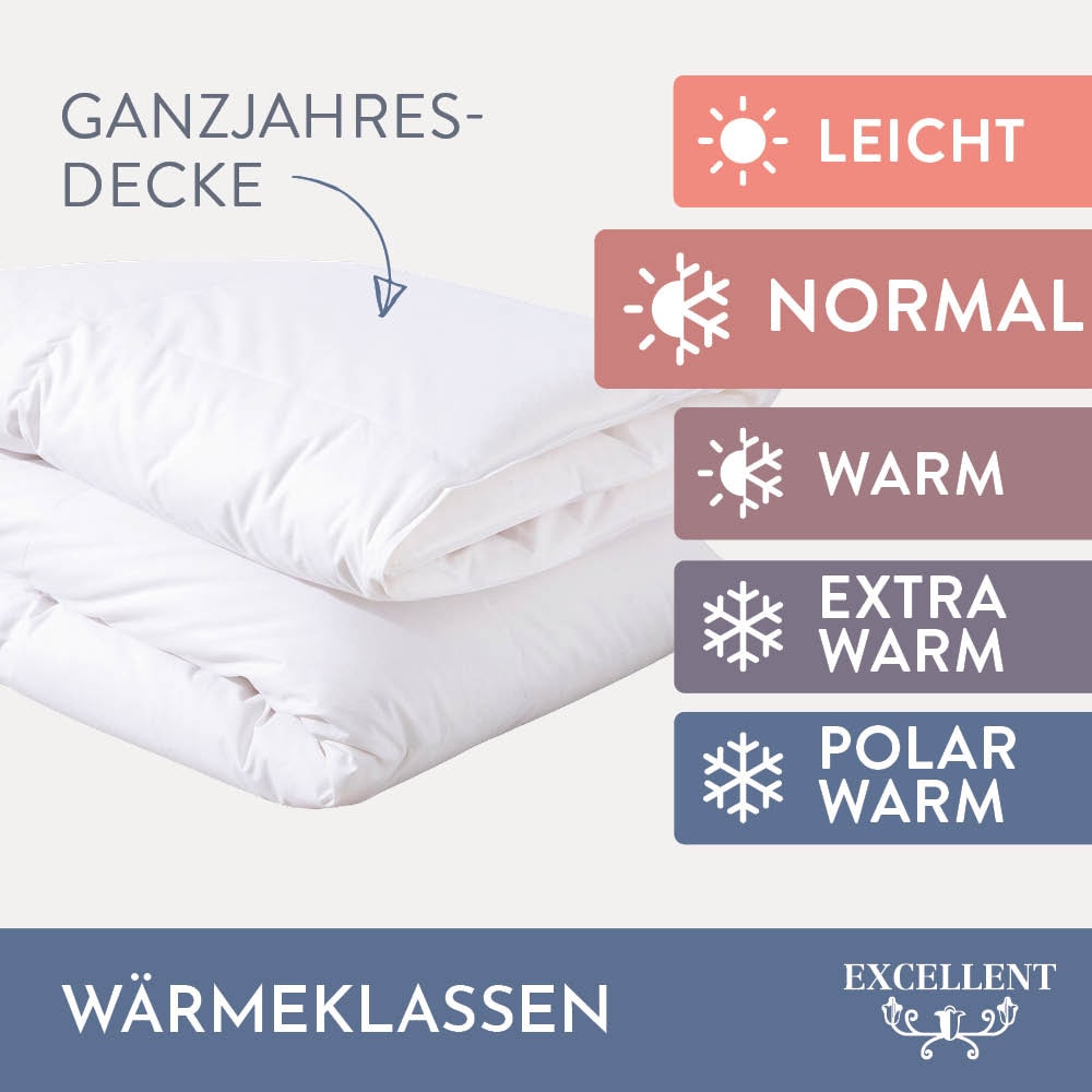 Excellent Daunenbettdecke »Zürich, Bettdecke normal mit Bestnote 