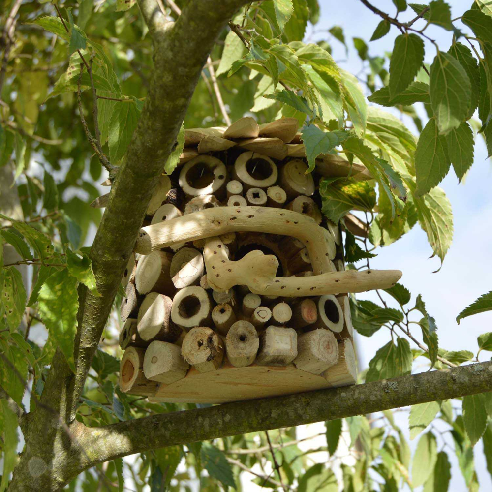 Nichoir demi-rond en bois d'albésia à accorcher
