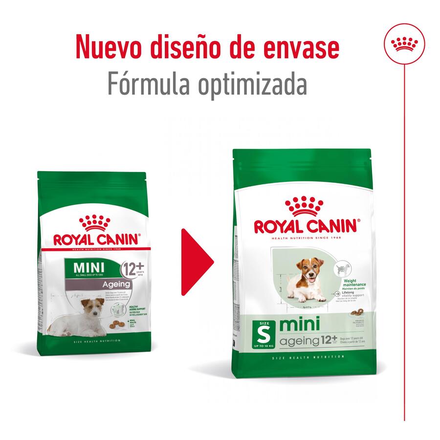 Ração Royal Canin Mini 12+ para cães idosos