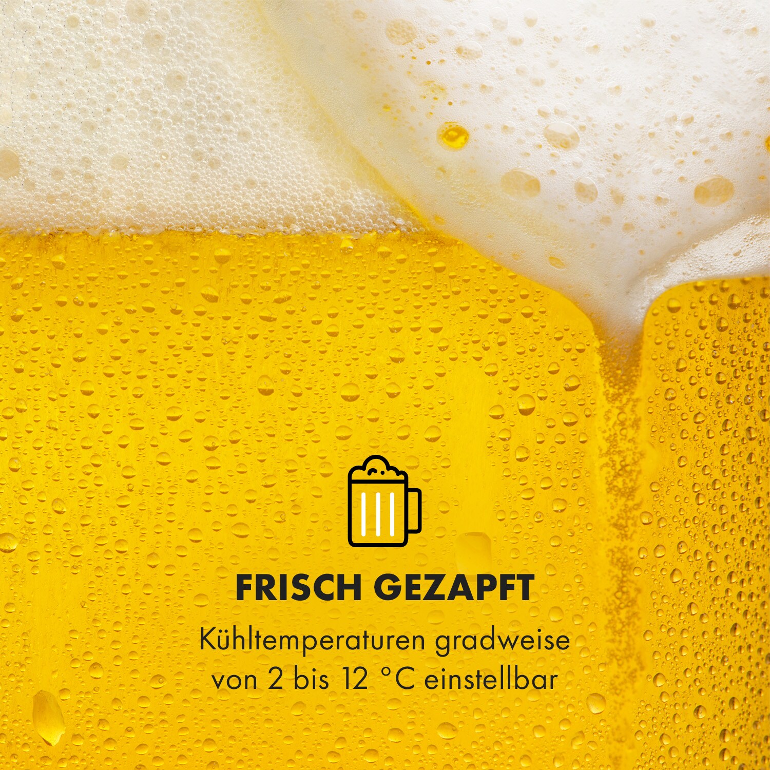 Beerkules Bierzapfanlage 5l Fässer Kompressor 120W Cooling: 4h