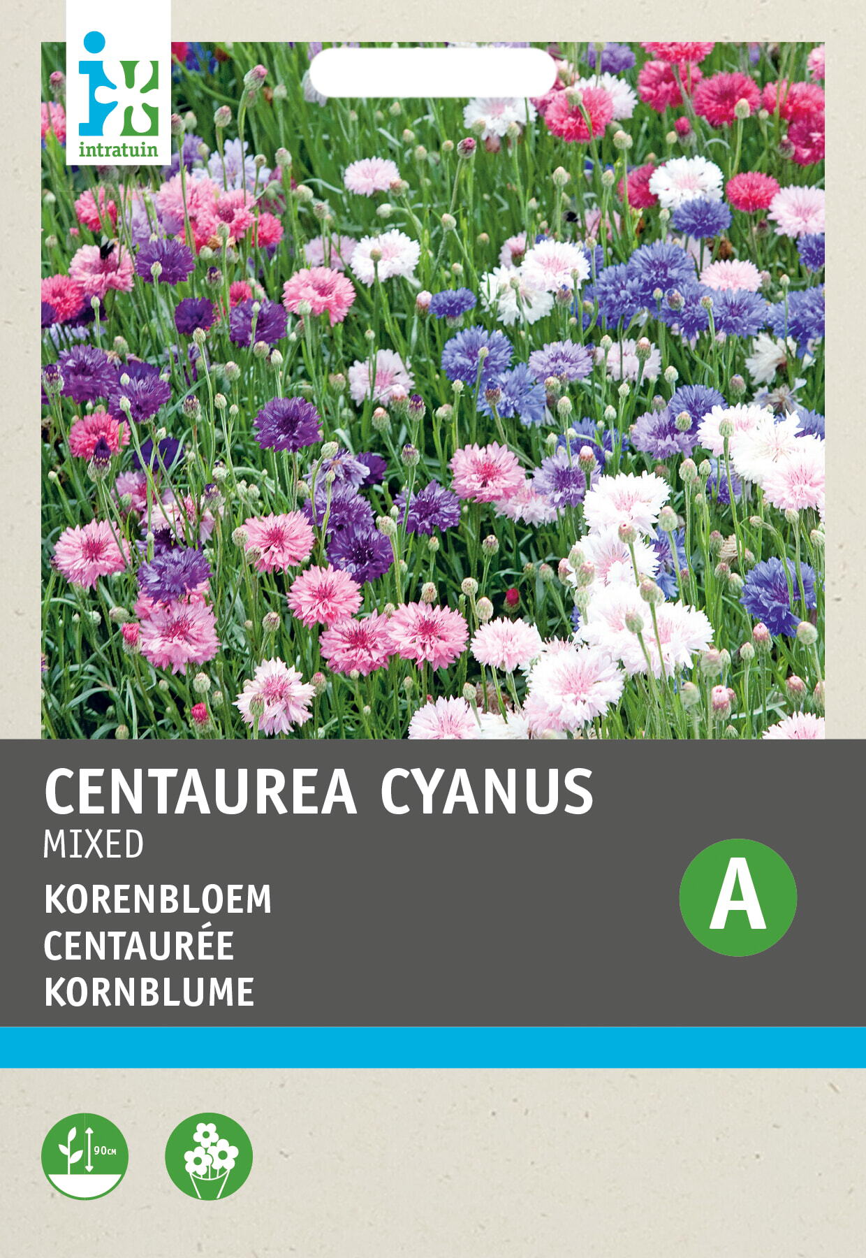 Intratuin bloemenzaad Korenbloem dubbel (Centaurea cyanus)