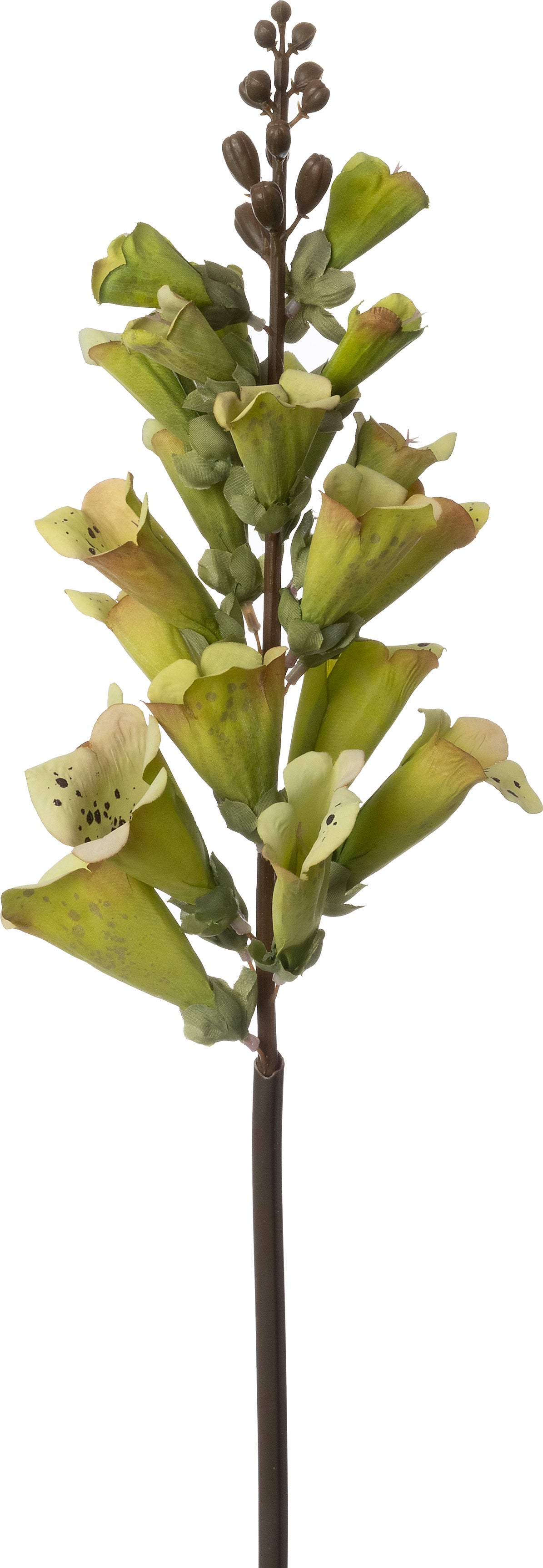 Intratuin kunstbloem Vingerhoedskruid groen 65 cm