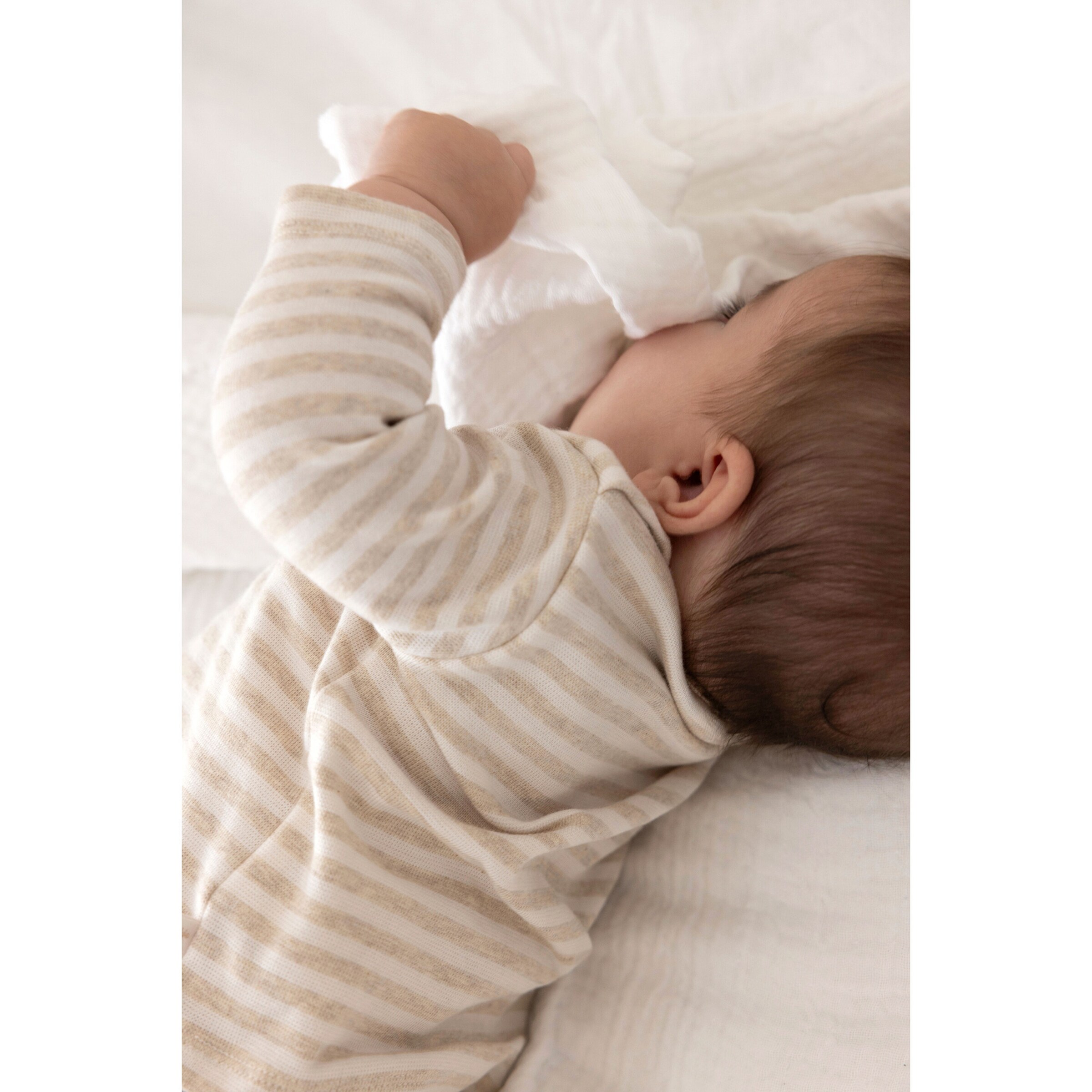 Feetje Shirt langarm Karotten Ringel natur/beige