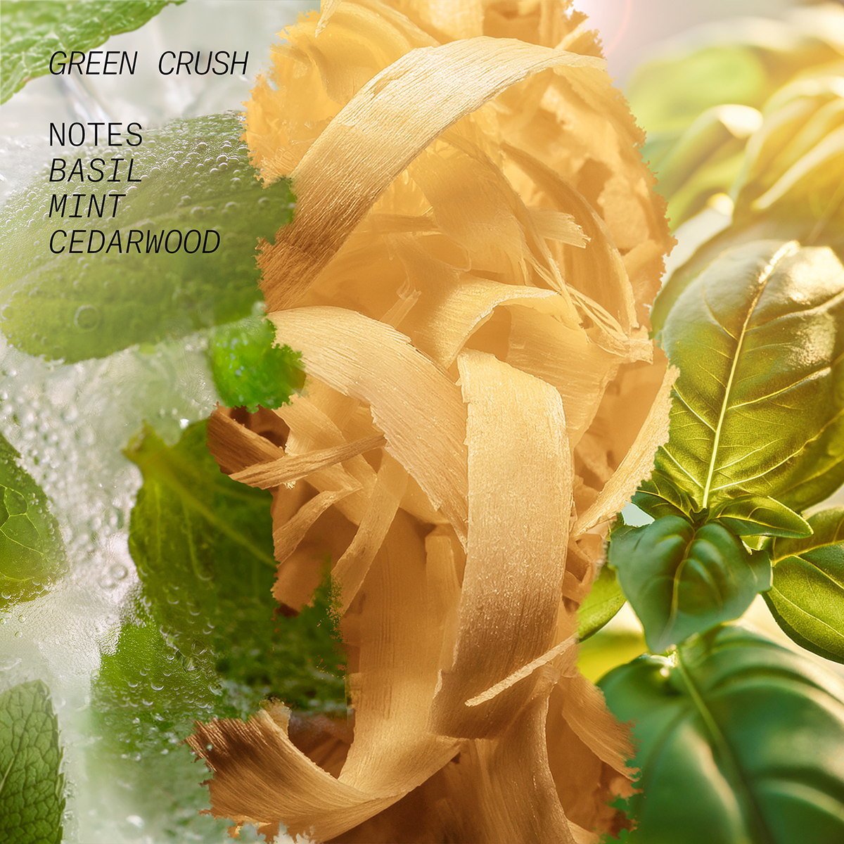 Hair & Body Mist Green Crush 50ml
