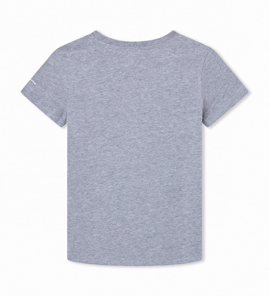 Camiseta Pepe Jeans Gray Flag Log