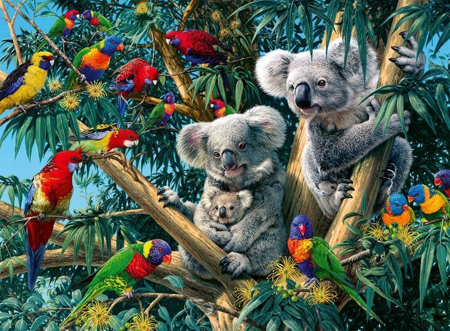 Puzzle KOALAS IM BAUM 500-teilig