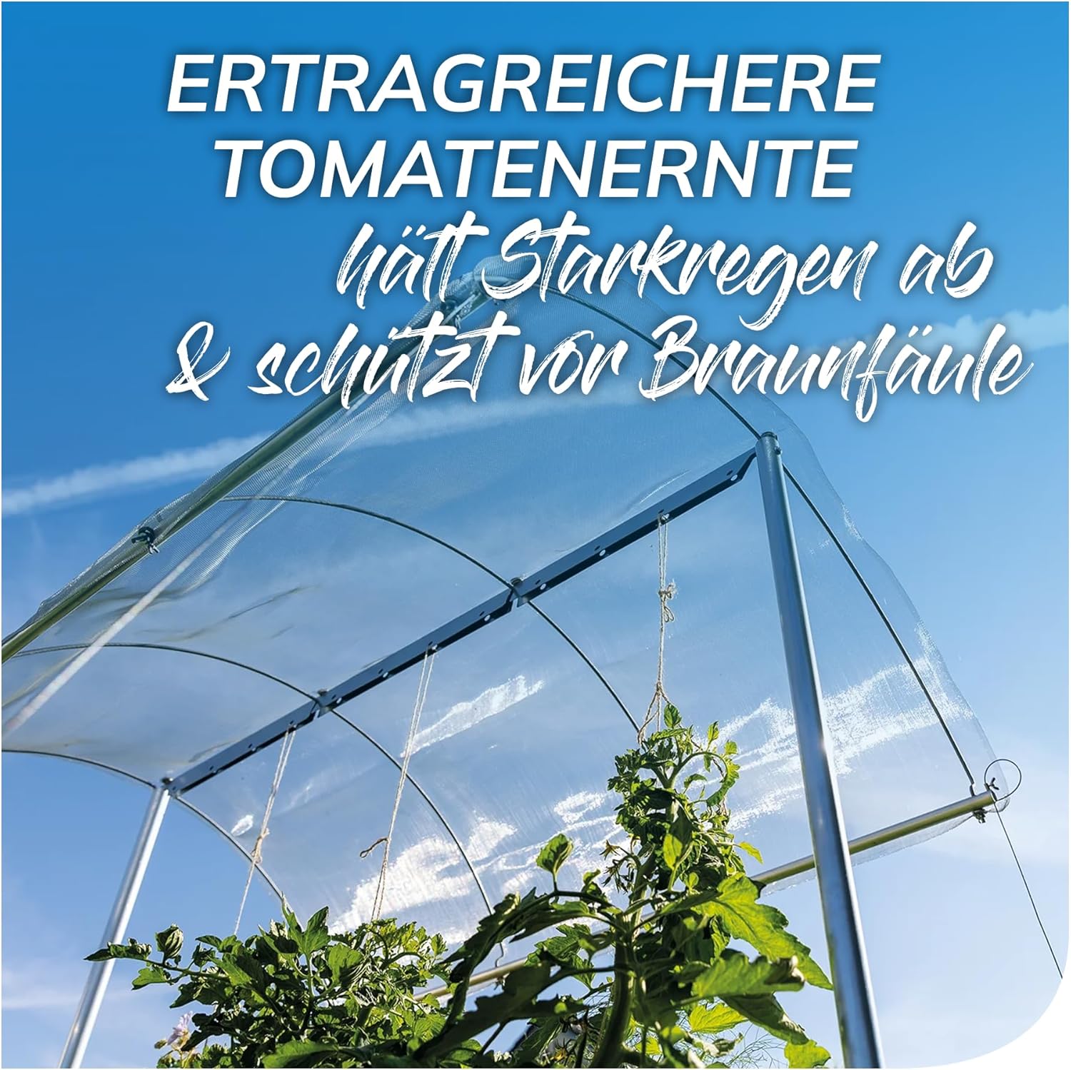 bellissa – Tomatendach höhenverstellbar von 125-185 cm mit regendichtem Aluminiumgewebe - Plastikfreies Pflanzenschutzdach für Tomaten, Gurken, Bohnen – Überdachung gegen Starkregen & Braunfäule