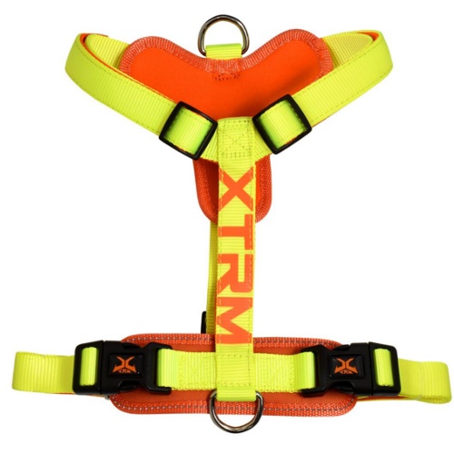 Coleira para cães X-TRM Cronos Neon Flash Lemon