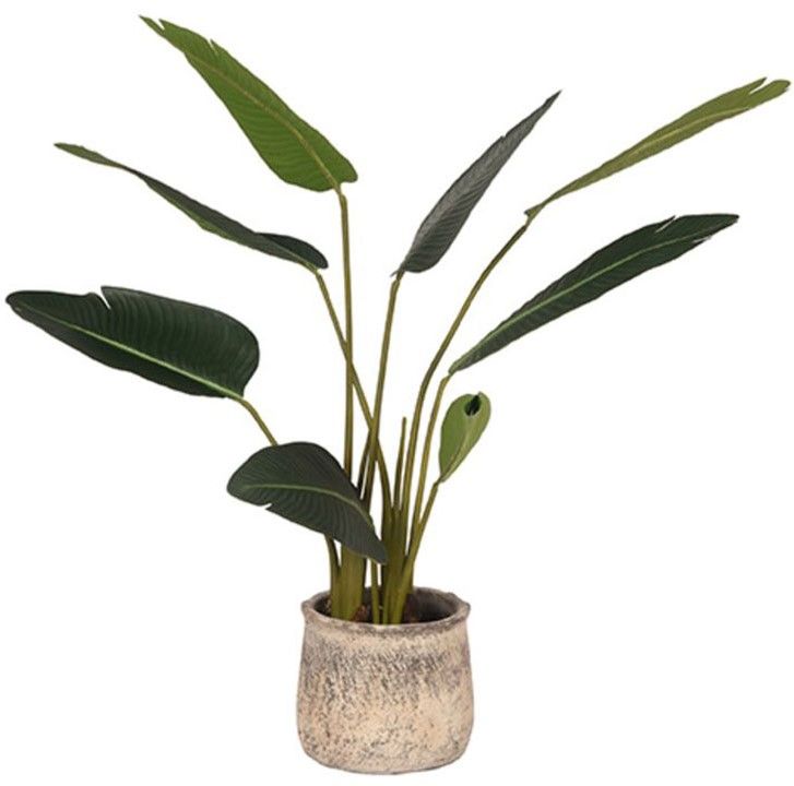 Kunstplant Strelitzia DS-54.001B70 x D70 x H100 cm
