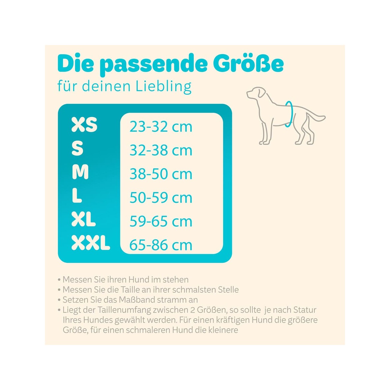 HUND IST KÖNIG Hundewindeln für Rüden [3 STK] Saugstarke Hundewindeln Rüde | Bequeme Hunde Windeln bei Inkontinenz XXL
