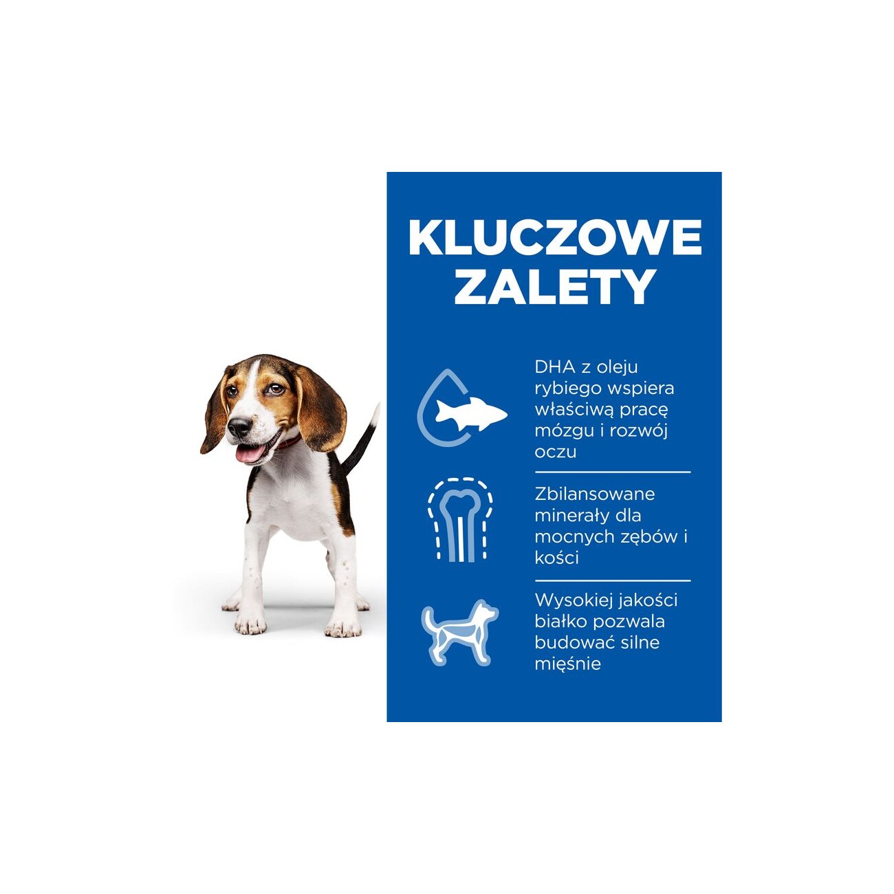 Hill's Science Plan Nassfutter Hund Welpe Huhn 12x370 g