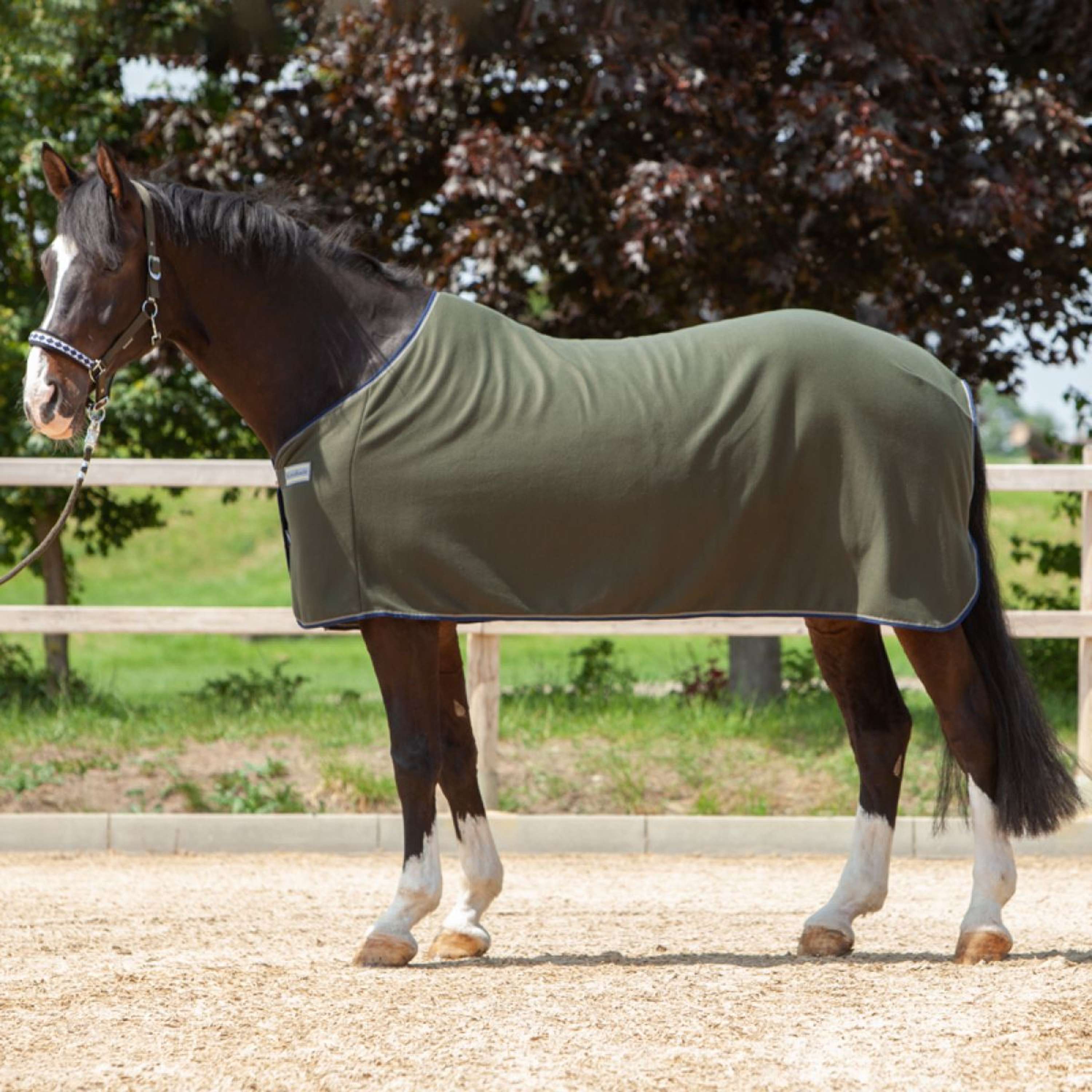 Kavalkade Zweetdeken Ecoline Fleece Dennengroen
