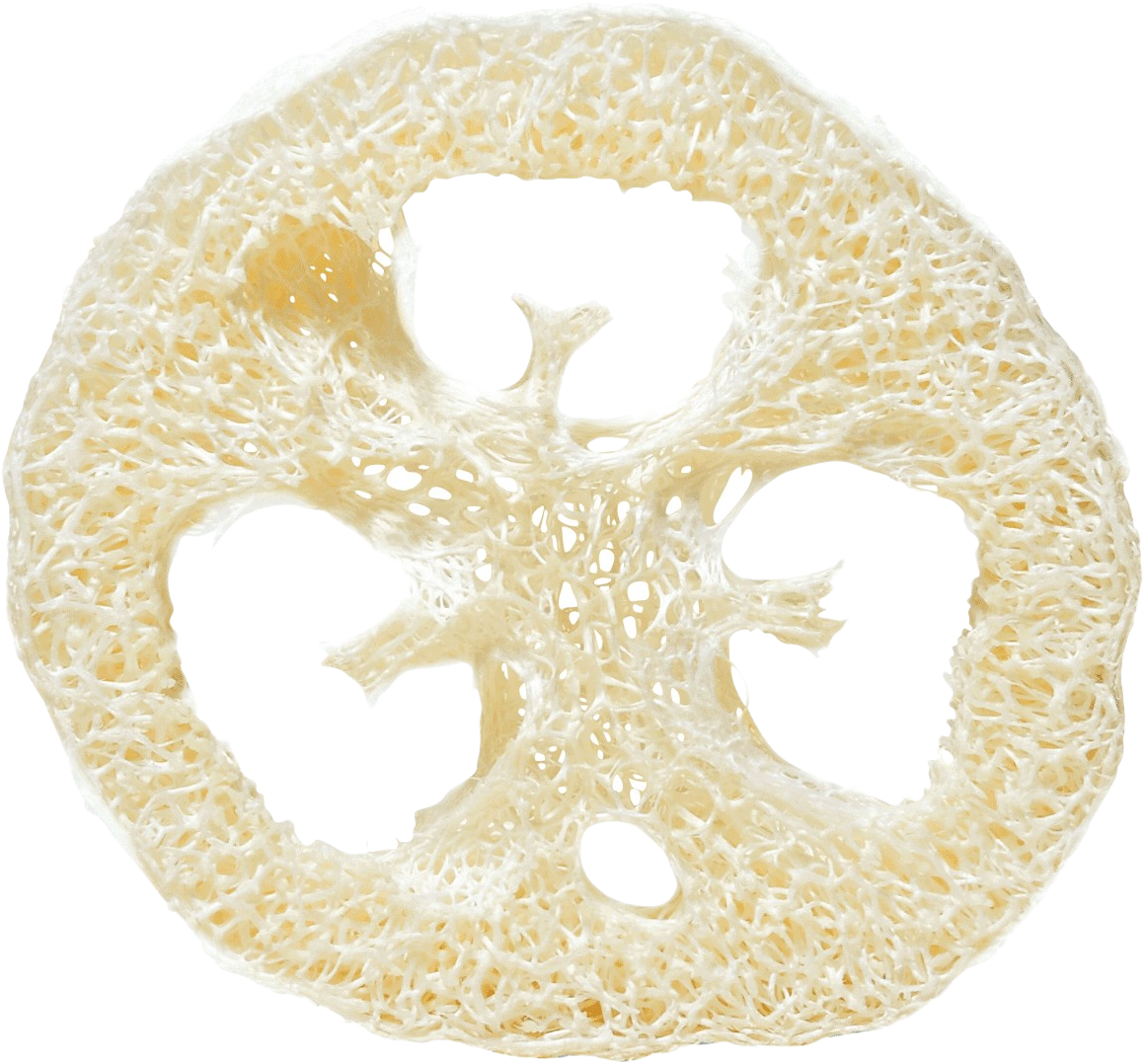Rosenrot  Luffa-Scheibe