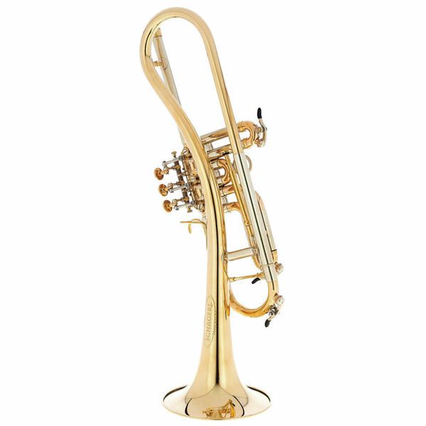 Schagerl Ganschhorn heavy 2021 UL
