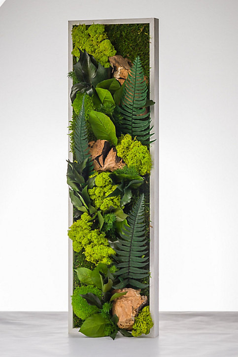 Tableau végétal stabilisé panoramique