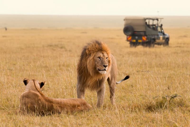 Safarireis Kenia: Tsavo & Taita