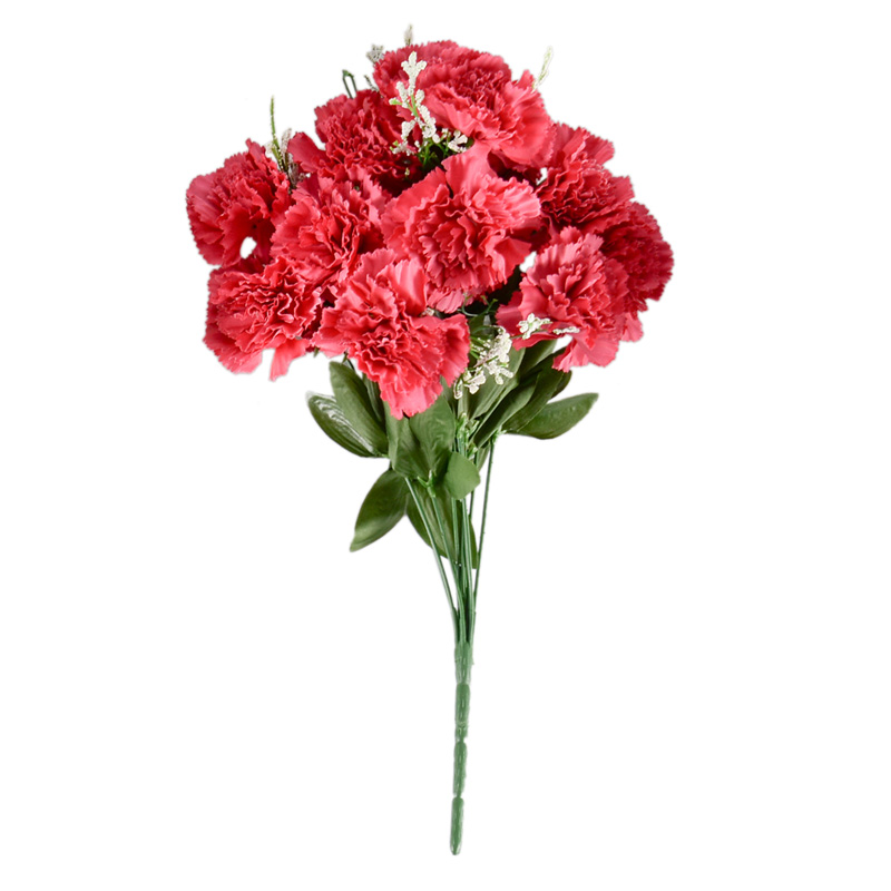 Bouquet d'oeillets