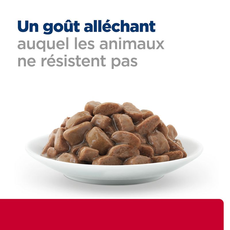 Hill's Prescription Diet c/d Urinary Stress, poulet