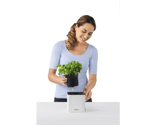 Lechuza Cube Color kunststof bloempot, 14x14x14 cm, wit, inclusief zelfbewateringssysteem en waterniveau-indicator