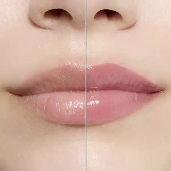 Plump It Up Lip Booster 040