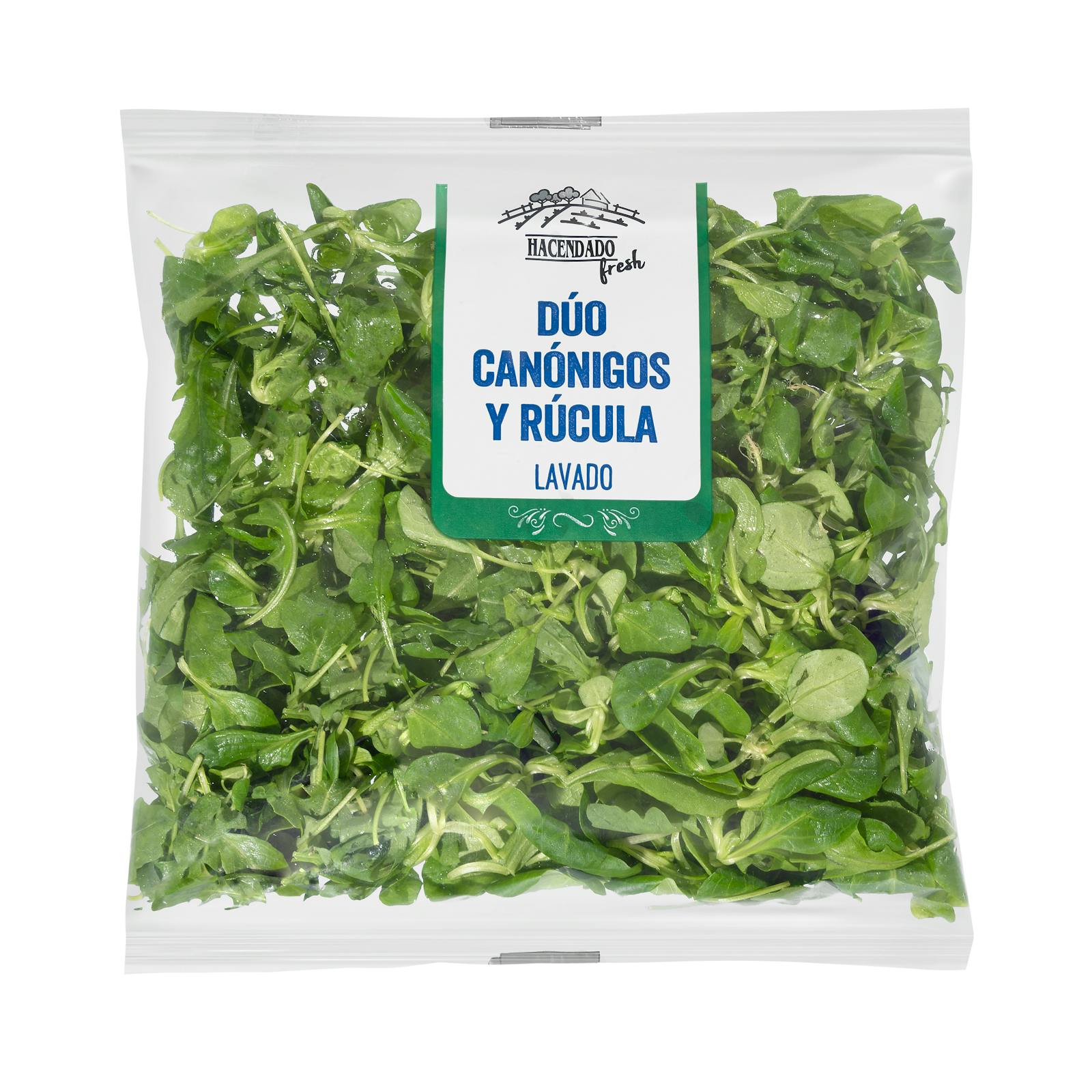Duo de salades mixtes de mâche et de roquette lavée