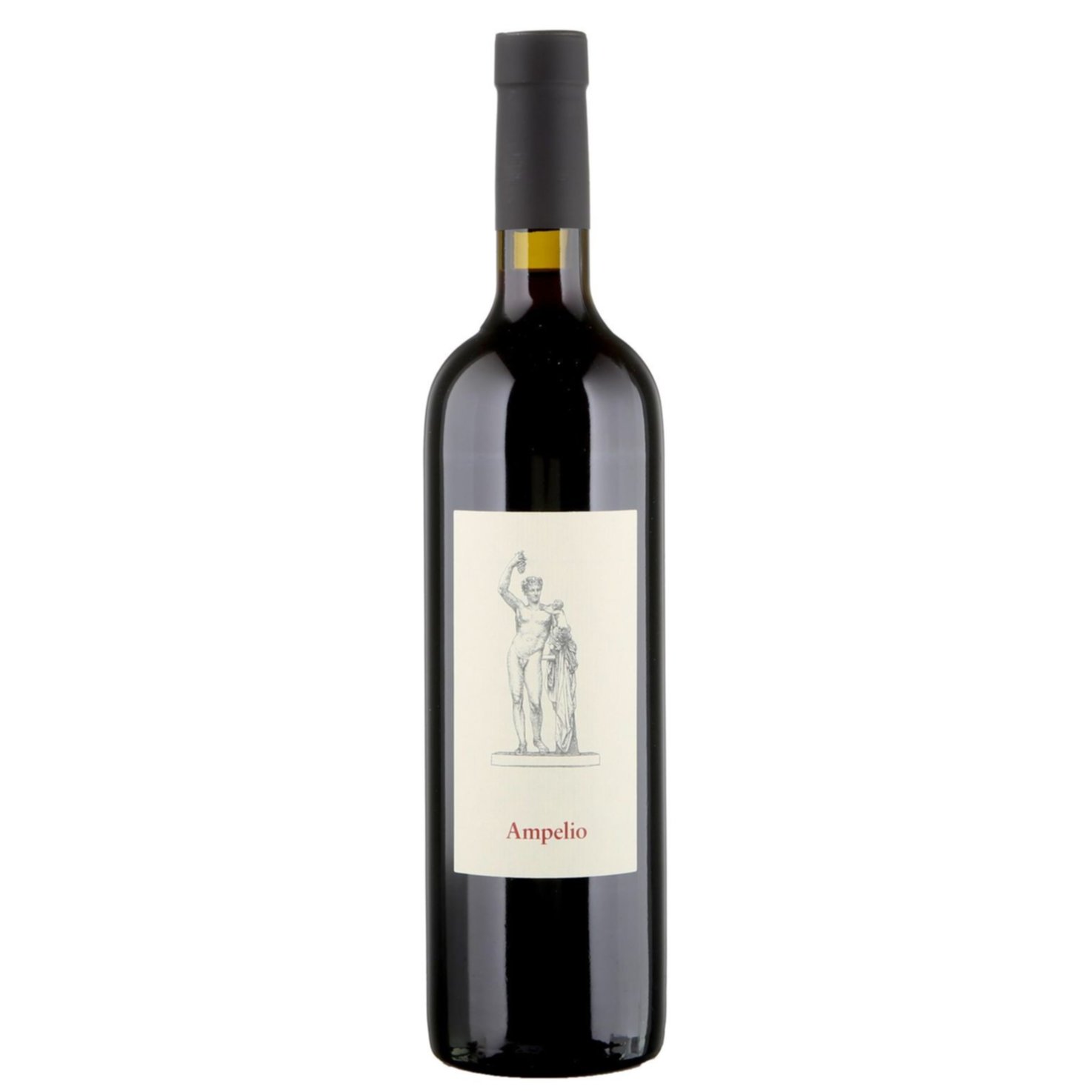 Ticino DOC Merlot Ampelio Carlevaro -75cl