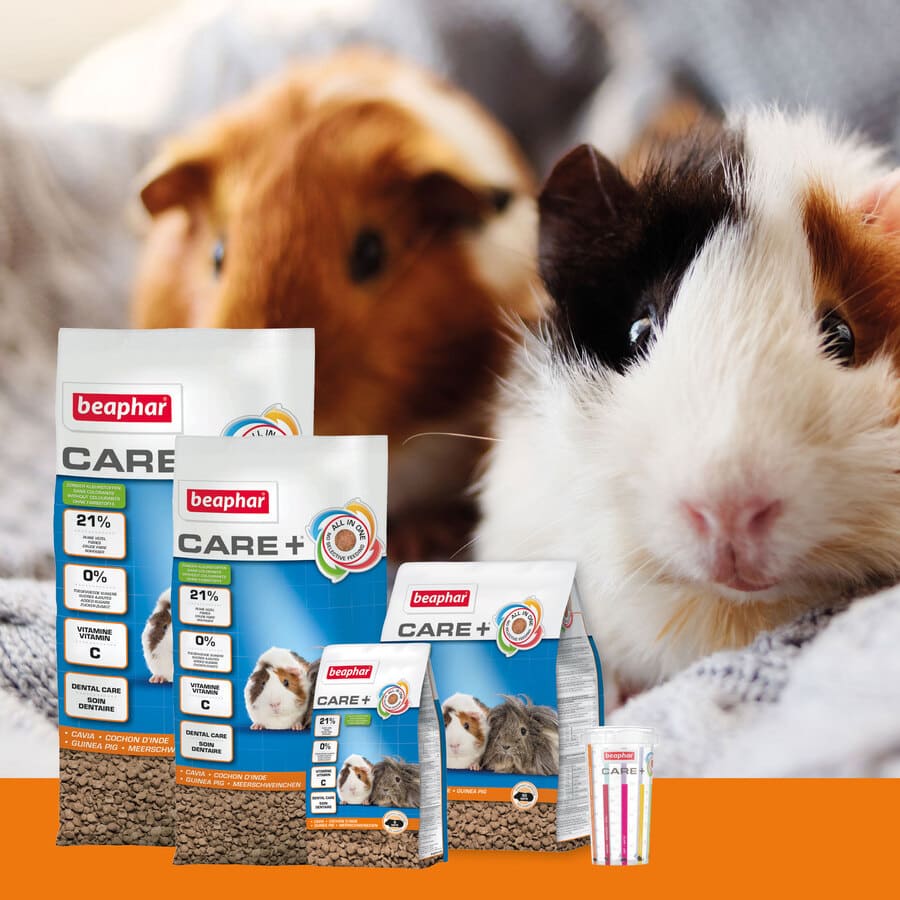 Beaphar Care + Alimento para Porquinhos-da-Índia