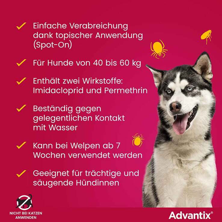 Advantix Spot-on Lösung Hund 40 - 60 kg, 4X6.0 ml