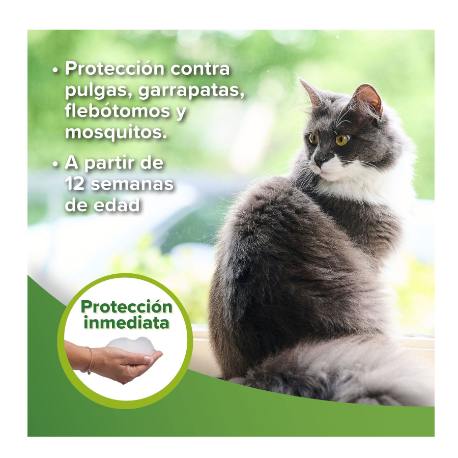 Shampoo repelente Beaphar para cães e gatos